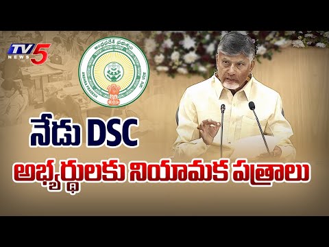 AP Mega DSC 2025 : నేడు DSC అభ్యర్థులకు నియామక పత్రాలు  | AP CM Chandrababu | Tv5 News - TV5NEWS