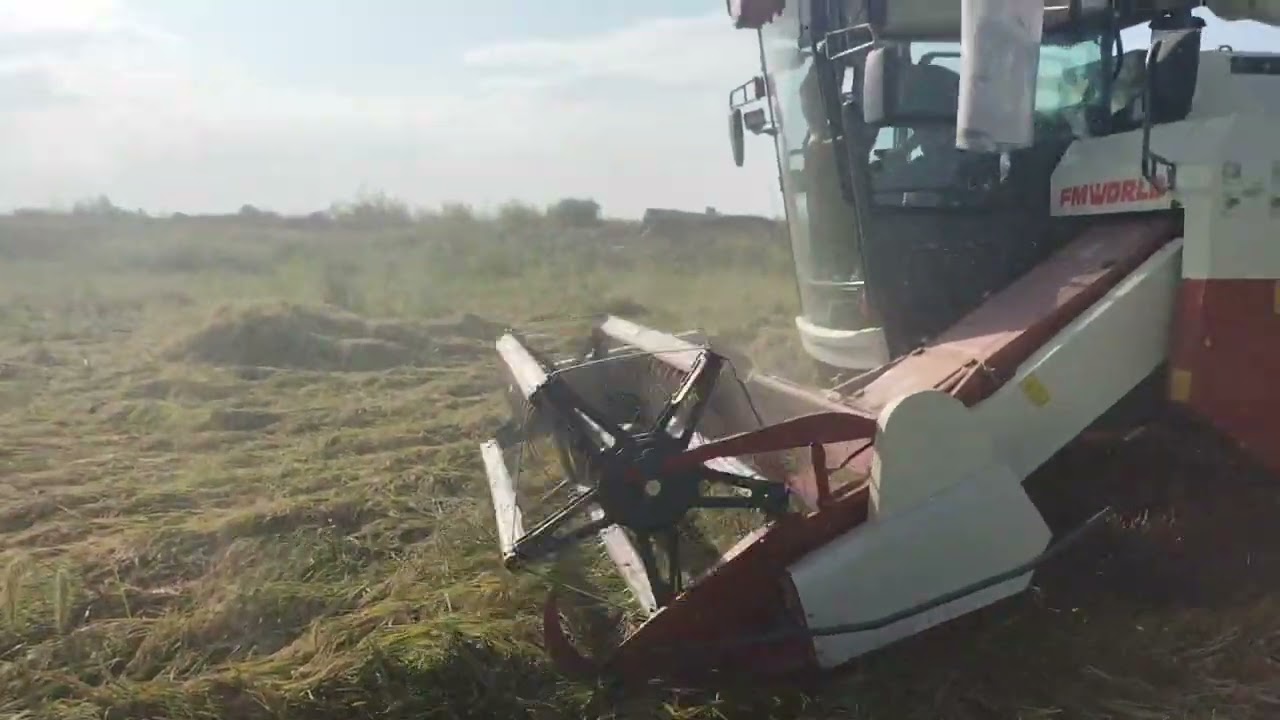 FMWORLD ,, Rice Combine Harvester in Uzbekistan ''