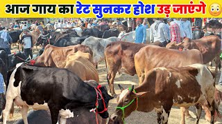 आज गाय का रेट सुनकर उड़ जाएंगे होश 😳 | मौहरिया पशु मंडी प्रयागराज | mohariya pashu mandi prayagraj
