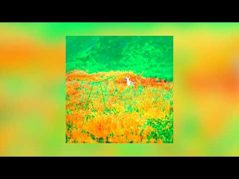 Manchester Orchestra - The Gold (Slow Dancer Remix)