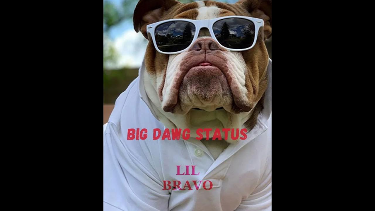 Lil Bravo Big Dawg Status YouTube lil-bravo-big-dawg-status-youtube