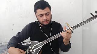 Kara Üzüm Habbesi - Elektro Bağlama