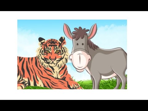 El tigre y el burro (cuento número 7)