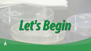 How to Inoculate Bacteria for Your Own Experiment