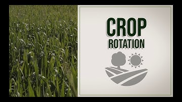 Crop rotation