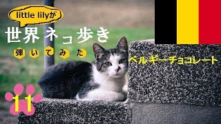 【ネコ歩き弾いてみた⑪】ベルギーチョコレート / 髙野正樹