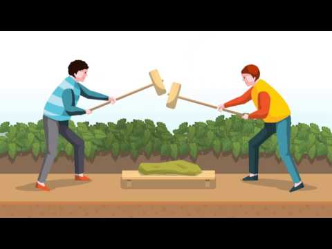 [가작] 강승화 - 정선의 보물 정선 수리취떡을 소개합니다