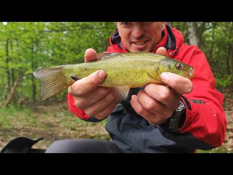They said there's no fish here! Tench fishing in the deep woods