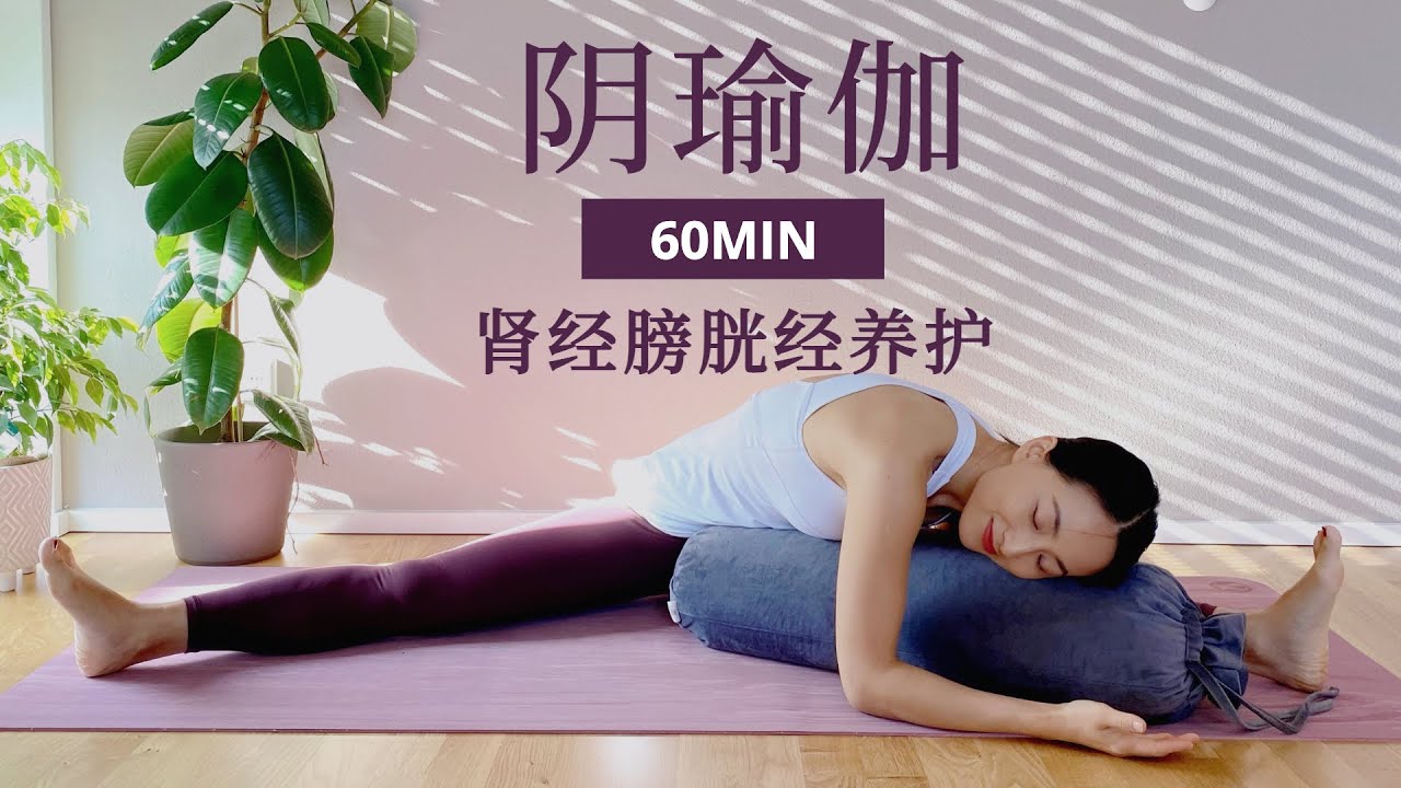 【60分钟阴瑜伽】肾经膀胱经养护 驱寒健体 排毒通络 滋养气血 | Yue Yoga