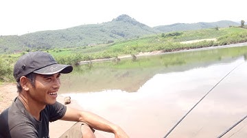 Câu cá rô đồng U Minh Thượng