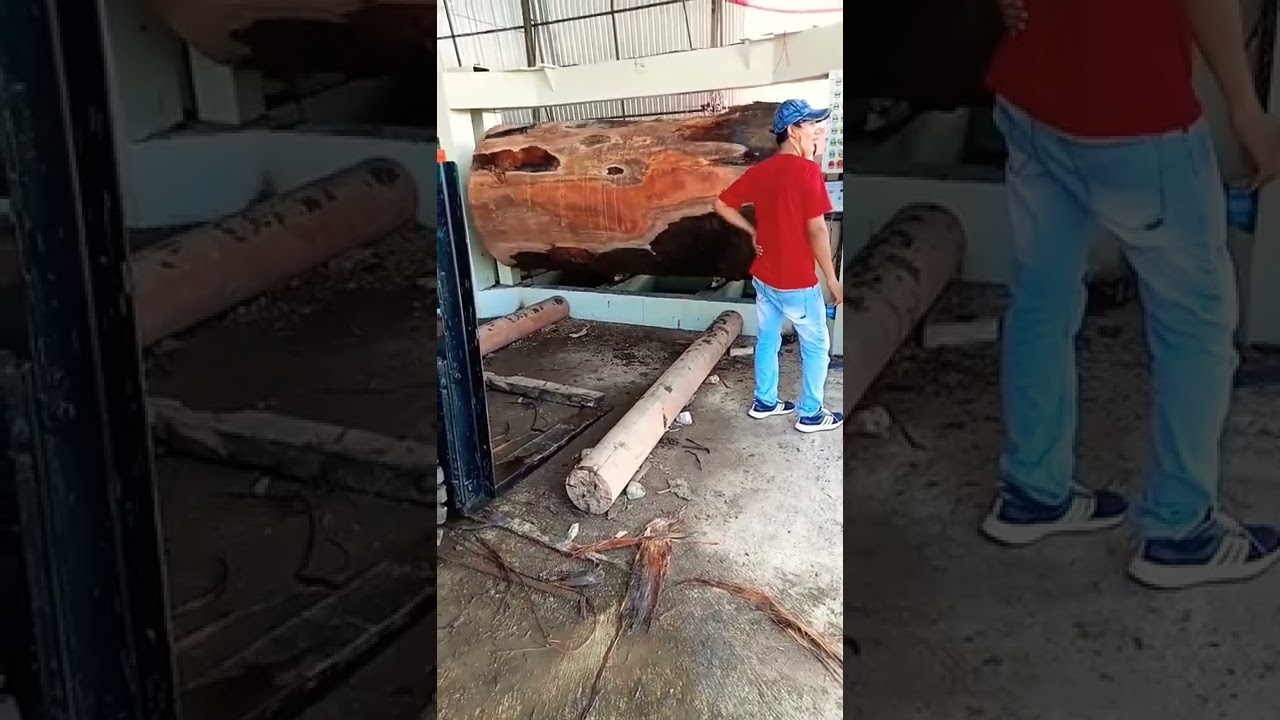 Round Up Log Kruing Diameter 130cm 