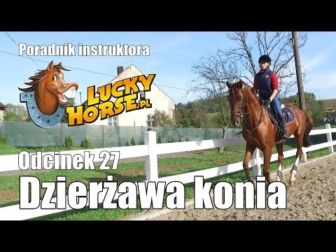 Wideo: Co to jest dzierżawa wypasu?