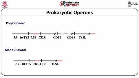 Nucleic Acid Sequence Analysis