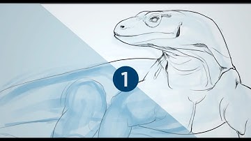 How to improve your digital sketches pt.1 (CtrlPaint.com)