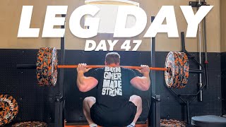 NATURAL ROAD TO 21 INCH ARMS DAY 47 LEG DAY