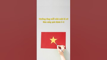 Tự hào Việt Nam. Vẽ lá cờ Tổ Quốc lên tường #shorts #vietnam #vietnamese #yeunuoc  #trending #video