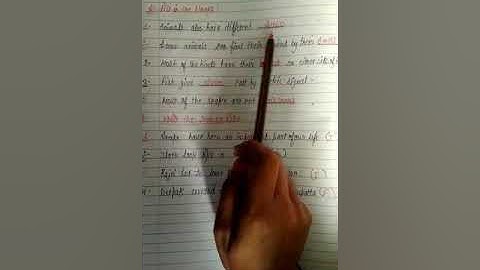 Revision Work of 1st Unit Test session 2021-22 5th Looking Around