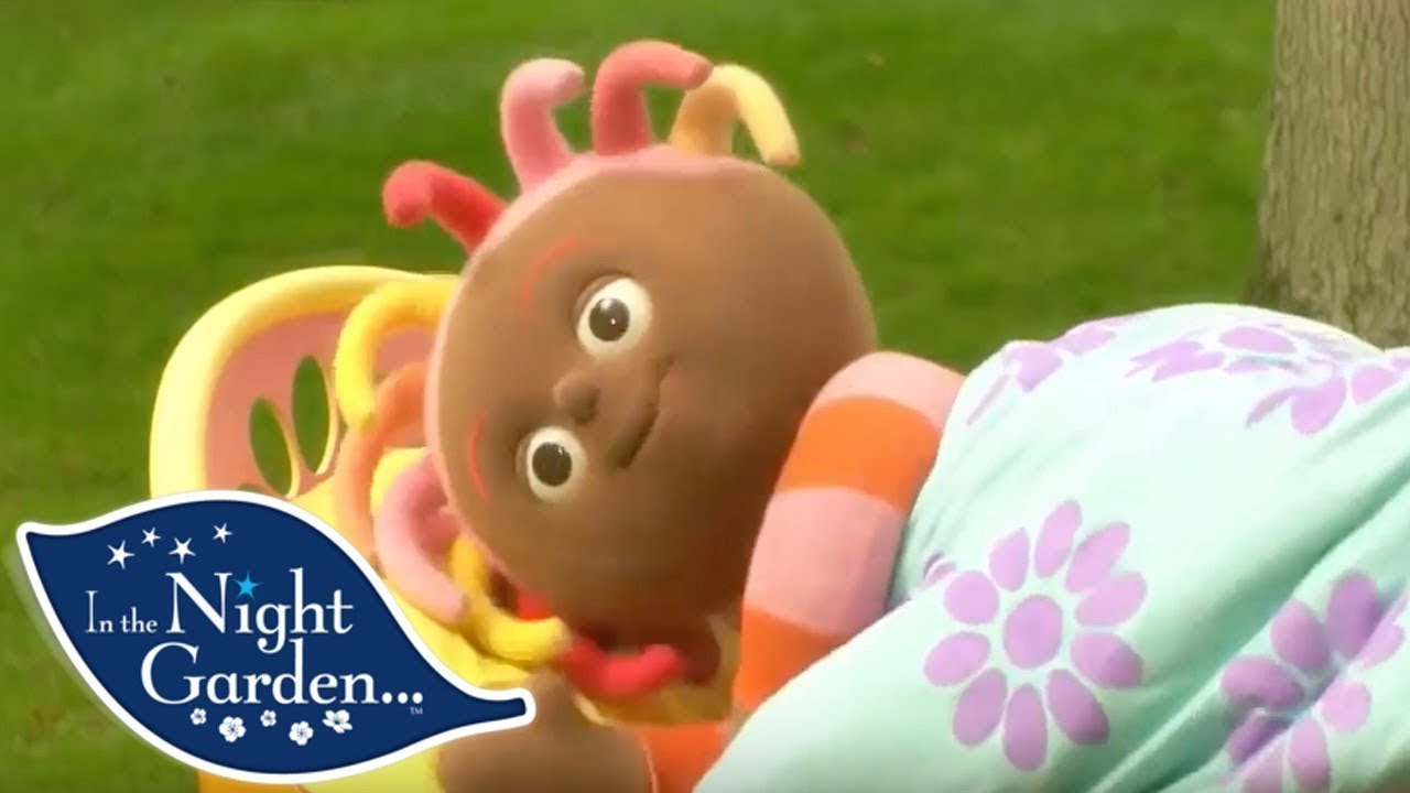 The Pontipines' Picnic | In the Night Garden | Live Action Videos for Kids | WildBrain Zigzag