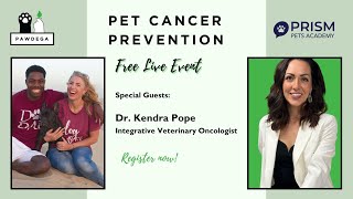 Pet Cancer Prevention Tips from Veterinary Oncologist Dr. Kendra Pope