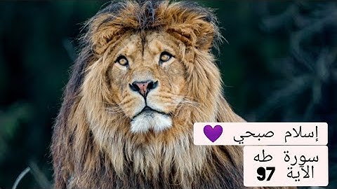 إسلام#قرآن# إسلام صبحي 🤍 ((((سورة طه الأية 97))) تلاوة خاشعة ومؤثرة