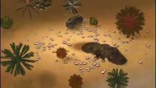 Bioshield Antimicrobial - Animation video