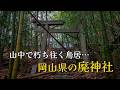 かなりの雰囲気を放つ、山中で朽ち往く廃鳥居…。