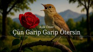 Aşık Ömer - Çün Garip Garip Ötersin - Anadolu - Deneysel Üzik - 