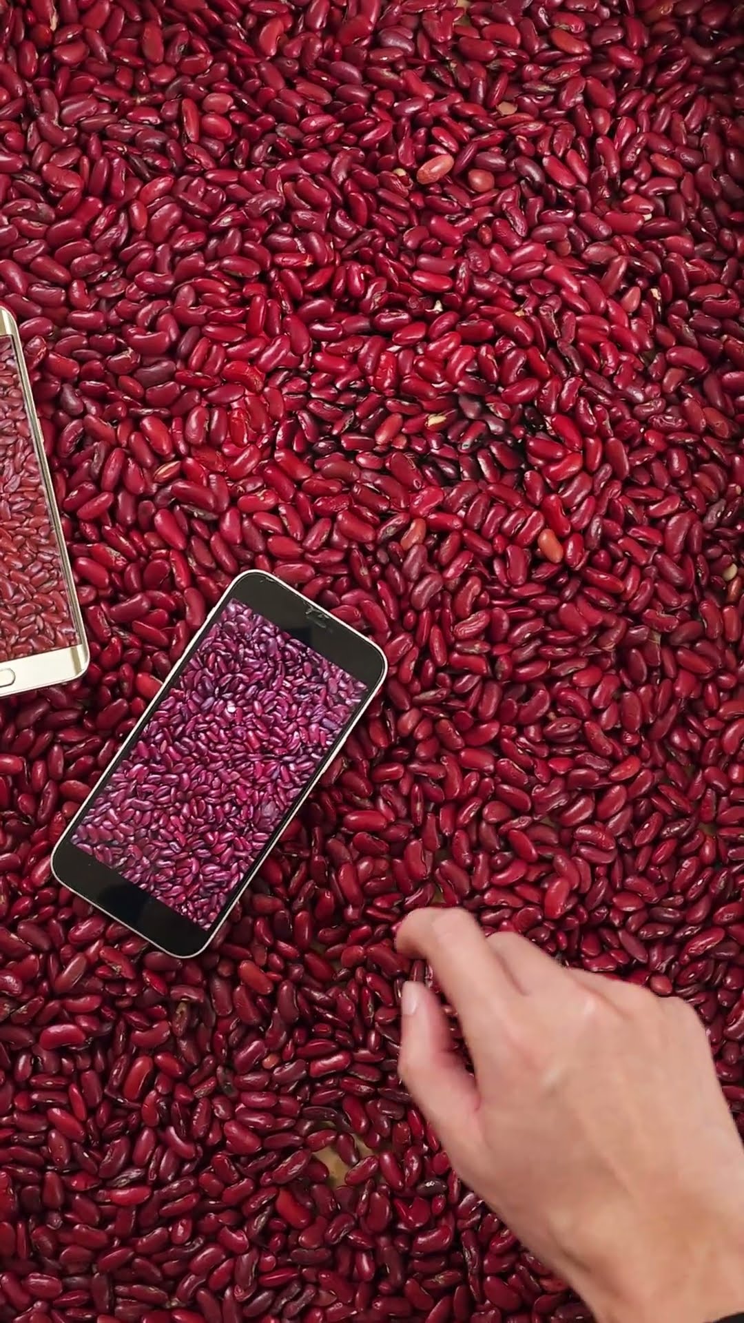 This is the world's first screen! When will domestic screens catch up? Samsung mobile phone