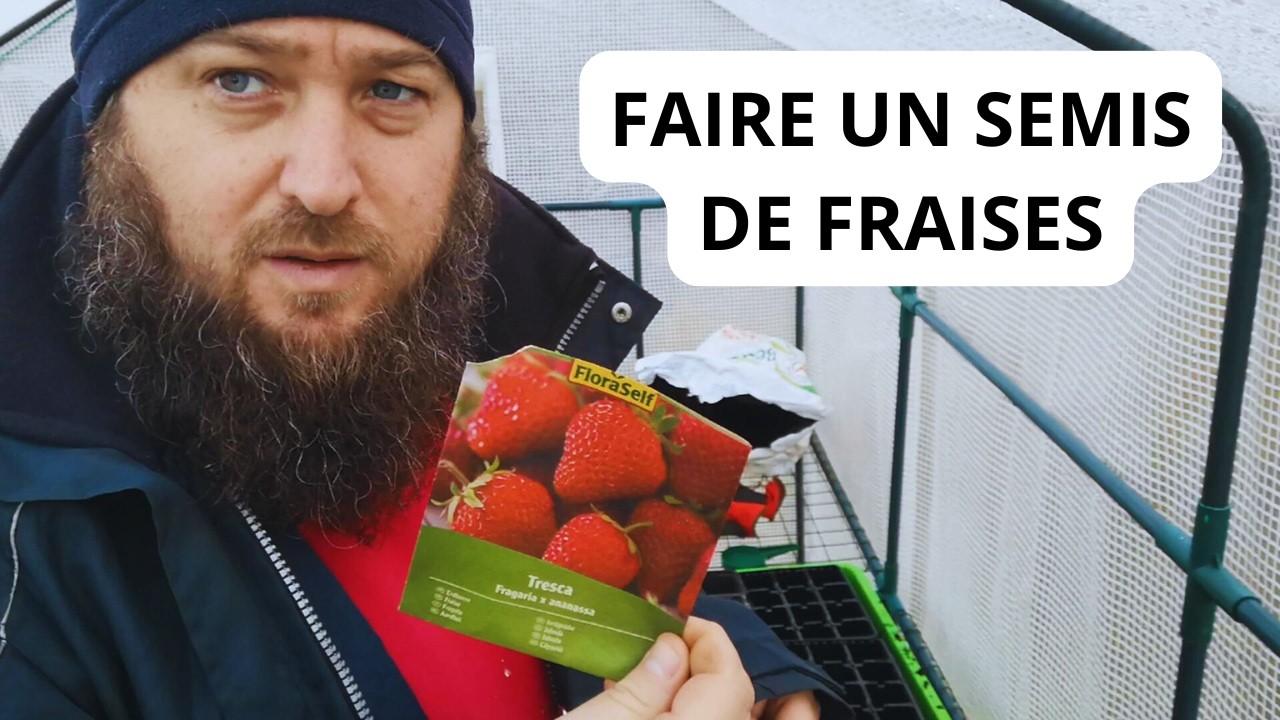Comment Faire un Semis de Fraises ?