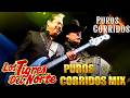 PUROS CORRIDOS PESADOS DE TIGRES DEL NORTE ~ LOS TIGRES DEL NORTE CORRIDOS PROHIBIDOS ALBUM COMPLETO