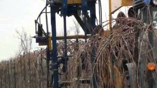 Mechanical Pruning