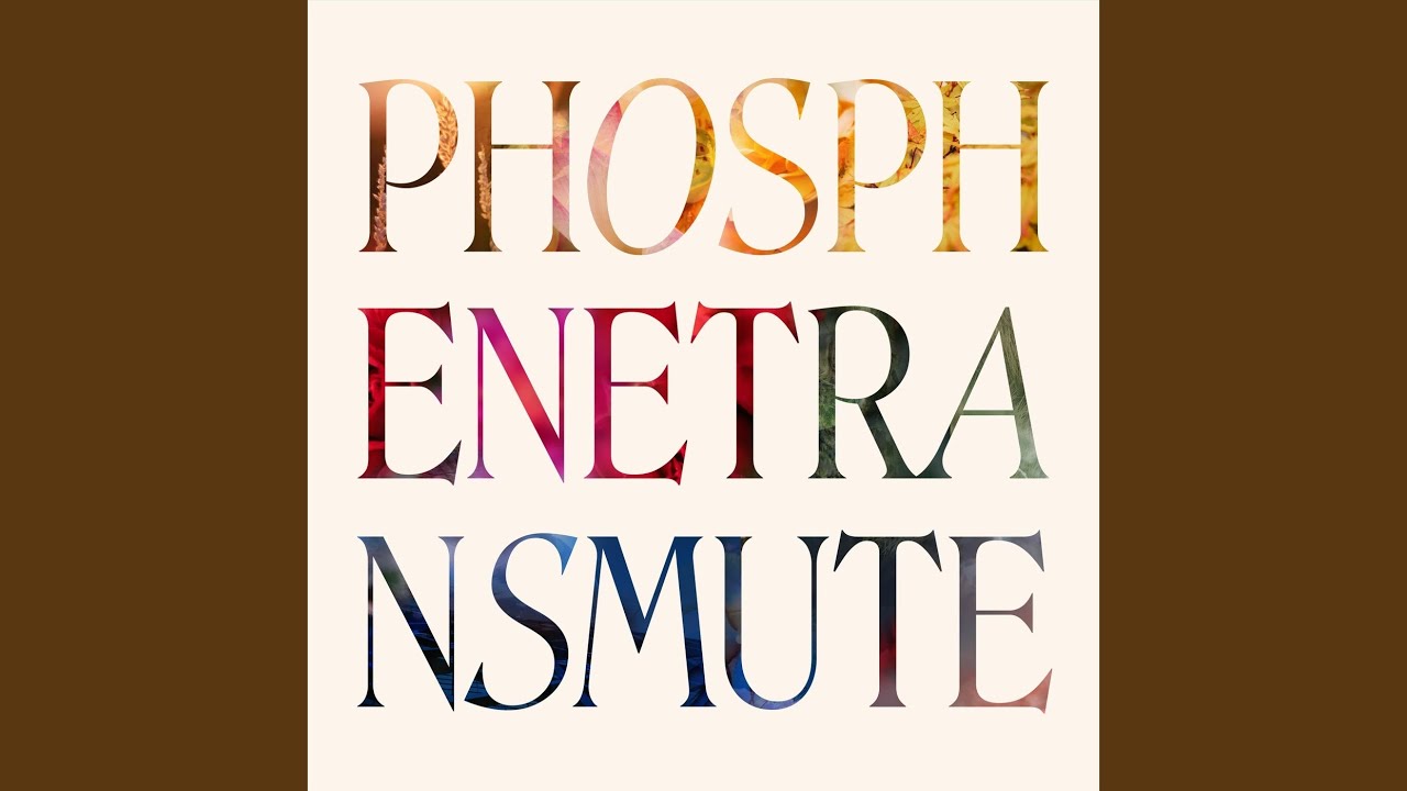Watch Transmute on YouTube Watch Transmute on YouTube