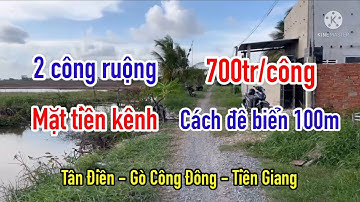 2 công đất ruộng Tân Điền mặt tiền kênh