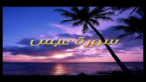 الشيخ عبد الخالق عطية - سورة عبس