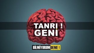 Tanrı'ya İnanma Geni Gerçek mi ?