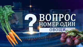 Беларусь обеспечивает себя своими овощами! Вопрос номер один