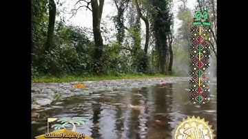 سورة السجدة قراءة الشيخ /محمد البخيت