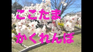 ここたま かくれんぼ　はる