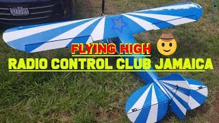 How to fly RC airplane  | radio controlled airplanes | Jamaica Vlog