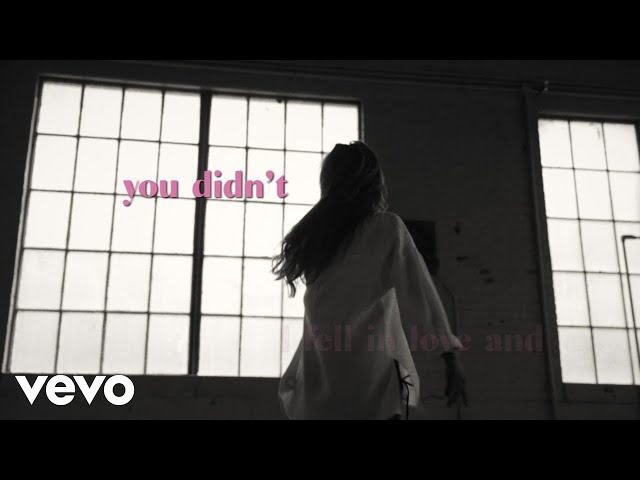 Brett Young - You Didn't