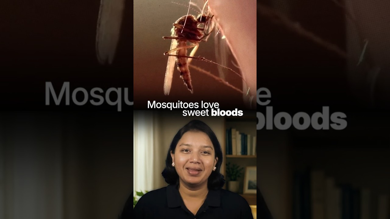 Why mosquitoes love biting you 🦟 (It's not your blood)
