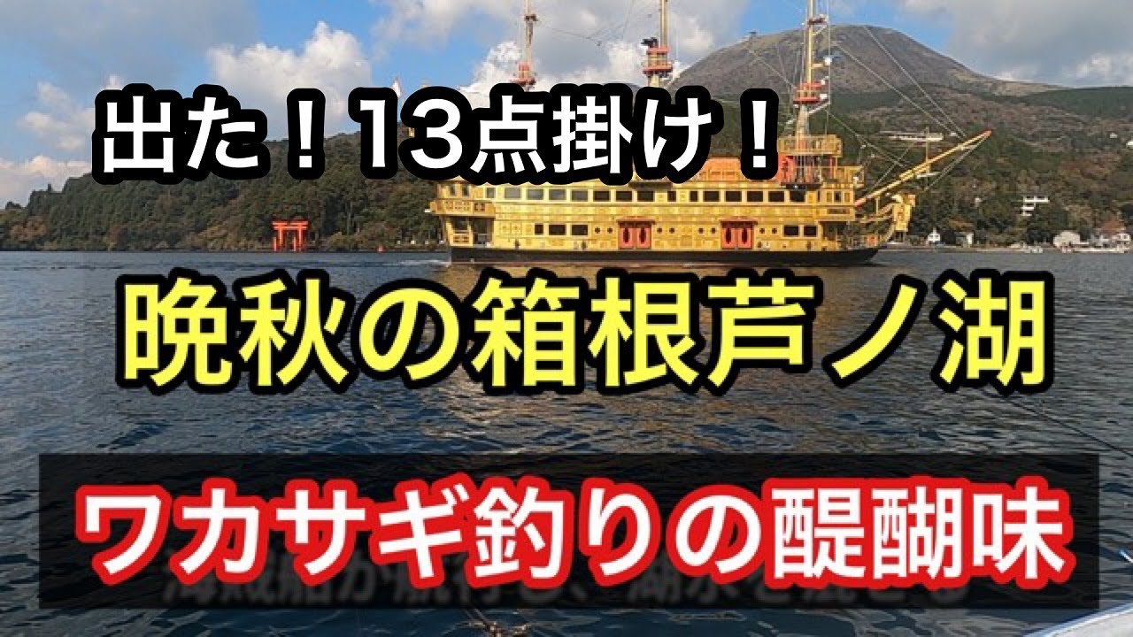 爆釣 晩秋の芦ノ湖 ワカサギ釣り攻略 大型サイズも Youtube