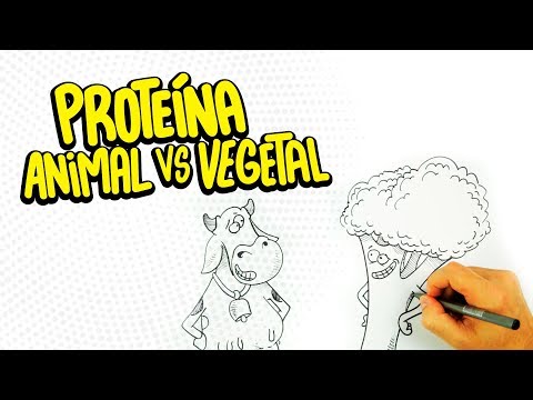 Vídeo: Diferença Entre Proteína Animal E Vegetal