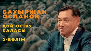 Мал шаруашылығы. 2-бөлім: Бауыржан Оспановтың қой шаруашылығы жайлы