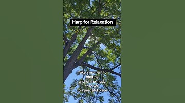 Harp for relaxation #hillarytheharpist #harp #harpmusic #asmr #music #shorts