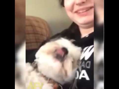 The Sneeze Sounds Like Her Laugh