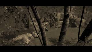 Massimo Maurizi - Forest Environment Dynamic Nature in Unity 2021