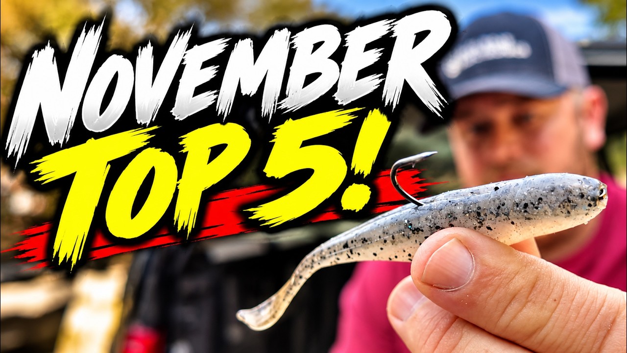 5 Bass Fishing Lures You NEED in November!