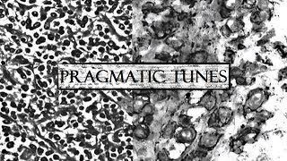 Pragmatic Tunes - Paradise (COLDPLAY COVER)