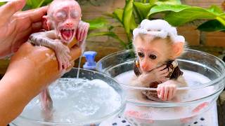 Cute Little Monkey Enjoys Bubble Bath | Monkey Bath Day with Soft Shampoo screenshot 3